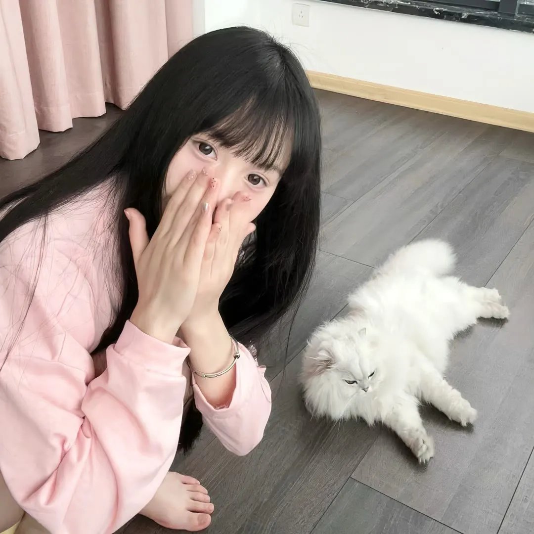 高蒂2019