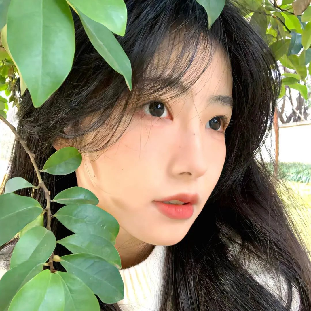飞月情海